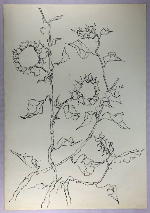 Ηλιοτρόπια