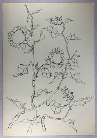 Ηλιοτρόπια