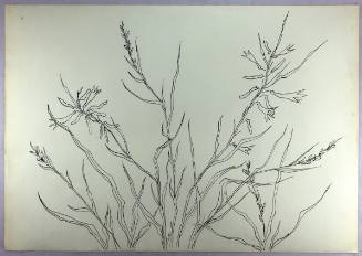 Σπαθινάκια