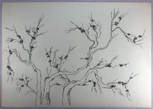 Ανθισμένη Αμυγδαλιά