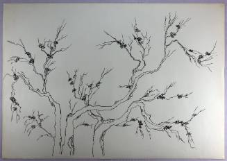 Ανθισμένη Αμυγδαλιά