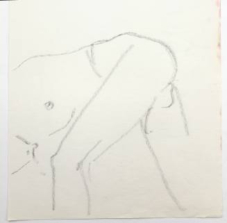 Ανδρικό γυμνό