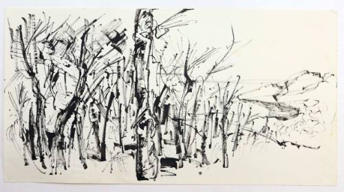 Δάσος και παραλία