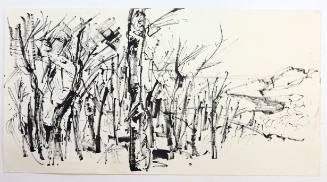 Δάσος και παραλία