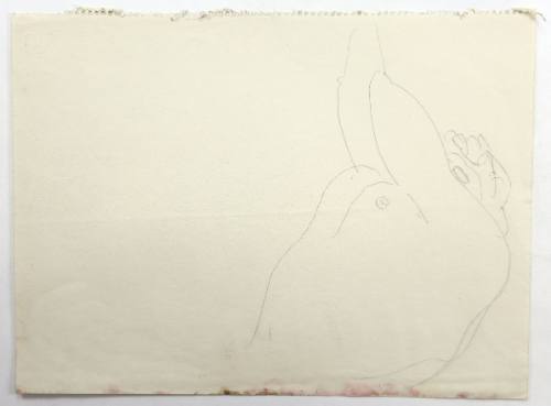 Ανδρικό γυμνό