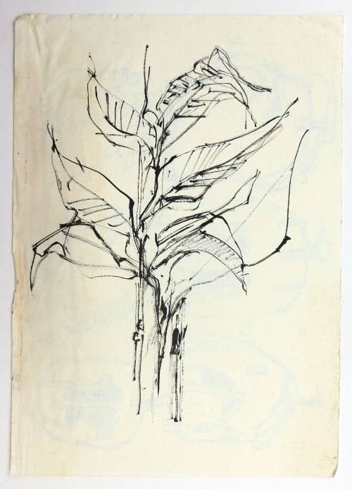 Λουλούδι/Περικεφαλαίες