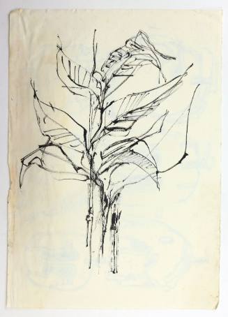 Λουλούδι/Περικεφαλαίες