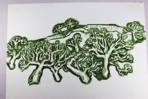 Βουνό με Μαστιχόδεντρα