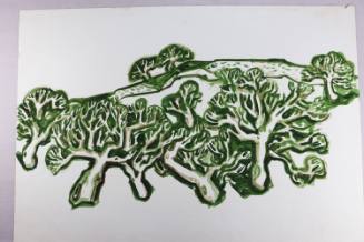 Βουνό με Μαστιχόδεντρα