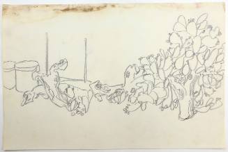 Φραγκοσυκιές