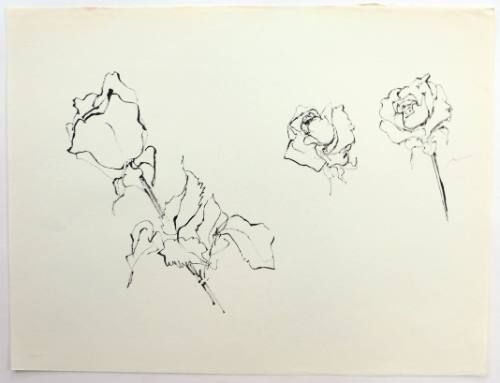 Τριαντάφυλλα