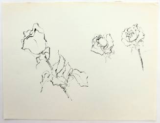 Τριαντάφυλλα