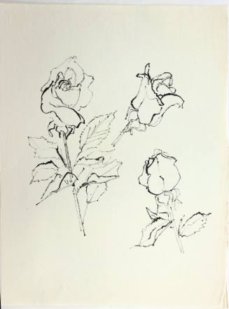 Τριαντάφυλλα