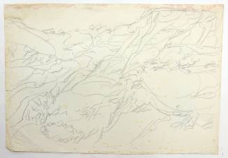 Βουνά-Ηλιοτρόπια