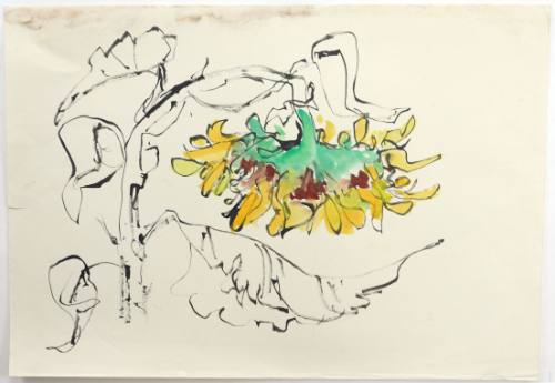 Ηλιοτρόπια