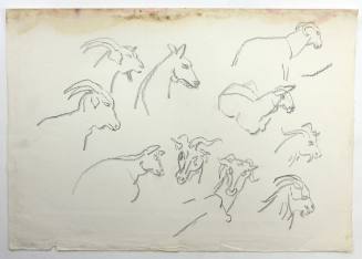 Κεφάλια Κατσικιών