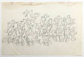 Φραγκοσυκιά