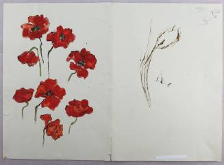 Παπαρούνες