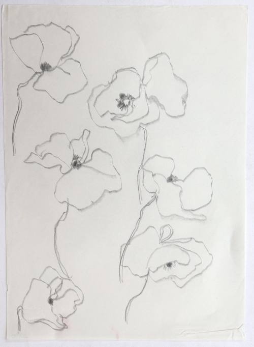 Παπαρούνες