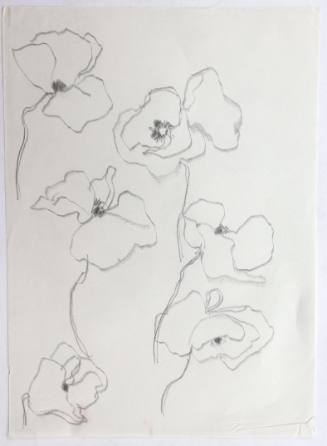 Παπαρούνες