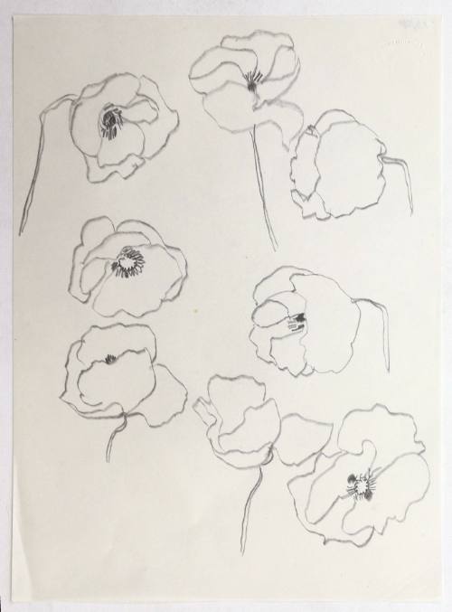 Παπαρούνες