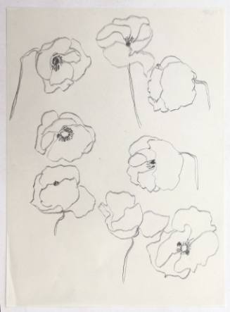 Παπαρούνες