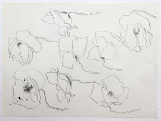 Παπαρούνες