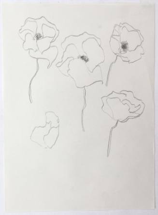 Παπαρούνες