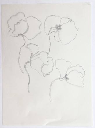 Παπαρούνες