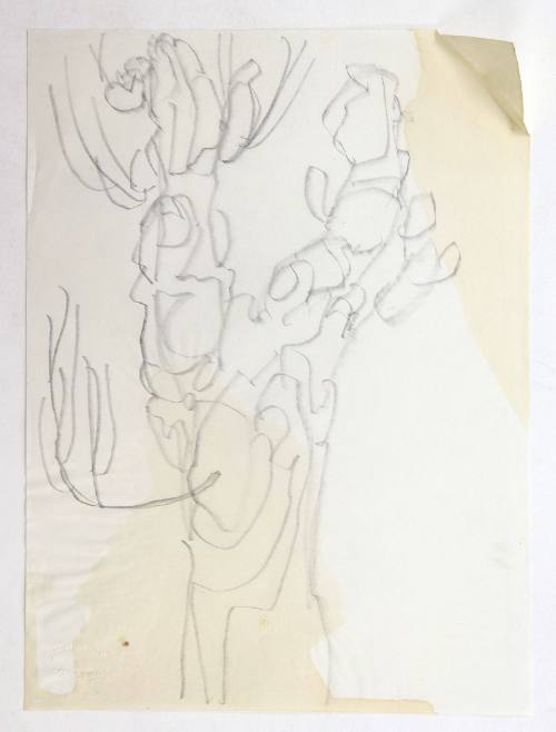 Κορμός Δέντρου