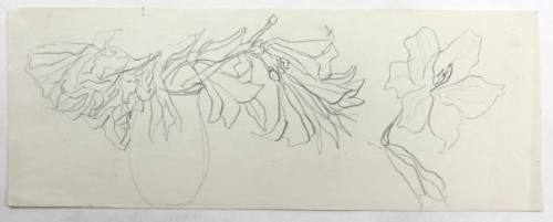 Βάζο με Λουλούδια