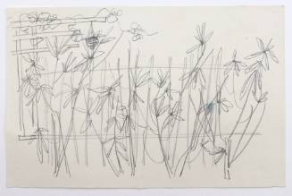 Λουλούδια με Φράχτη