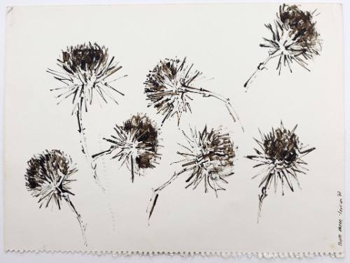 Γαιδουράγκαθα-Πόρτο Καρράς