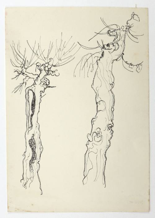 Κορμοί Δέντρων