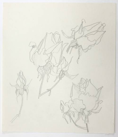 Τριαντάφυλλα