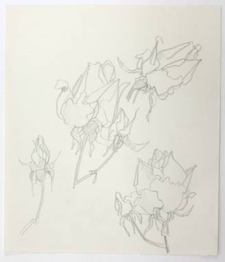 Τριαντάφυλλα