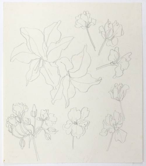 Κρίνα και γεράνια