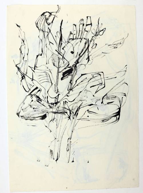 Λουλούδια / Βράχος