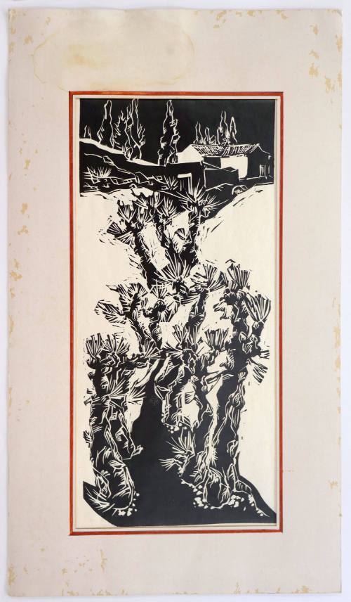 Τοπίο με γιούκα