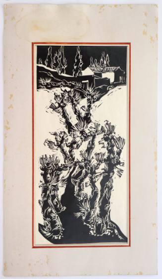 Τοπίο με γιούκα