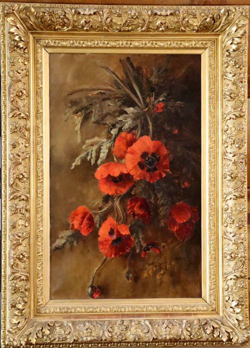 Κόκκινες παπαρούνες