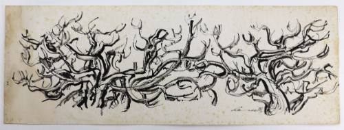 Συκιές-Δέντρα