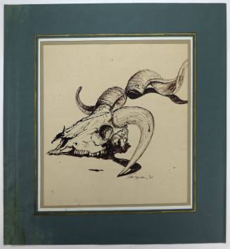 Κρανίο ζώου