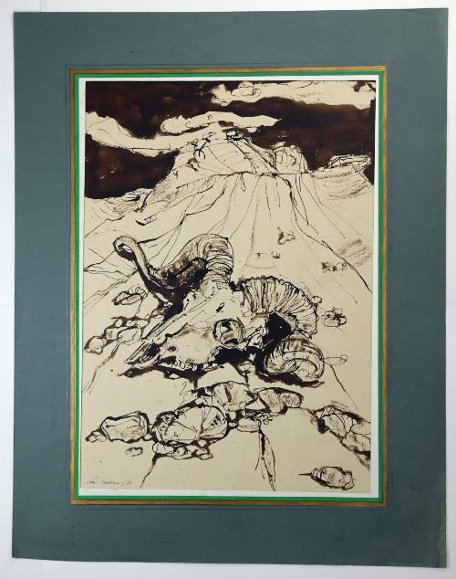 Κρανίο κριού