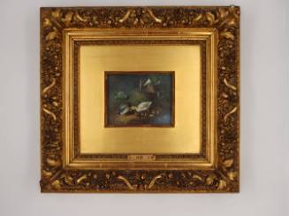 Πάπιες σε λιμνούλα