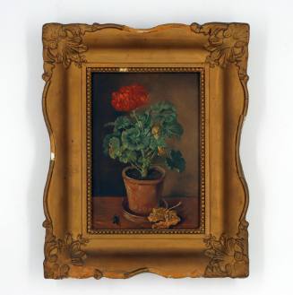 Γεράνι σε γλάστρα