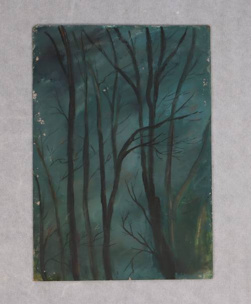 Κορμοί δέντρων