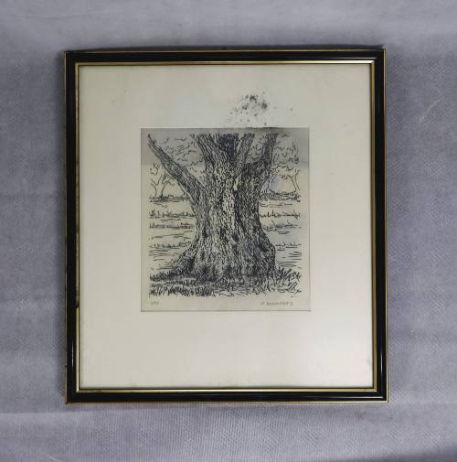 Κορμός ελιάς