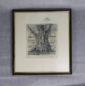 Κορμός ελιάς