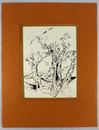 Τρεις ελιές, Πόρτο Καρράς